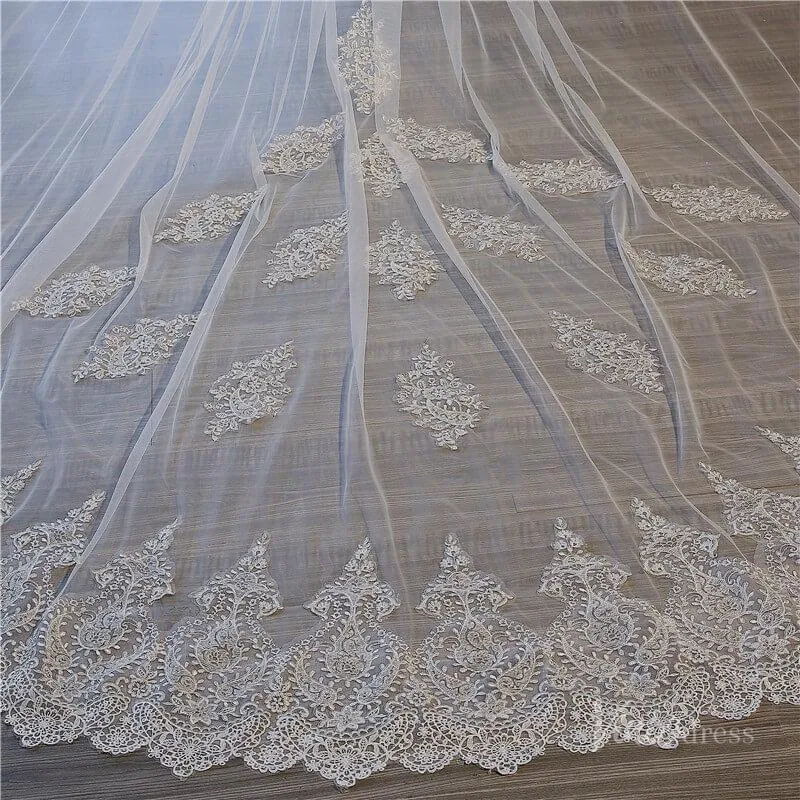 1 Tier Lace Cathedral Veil Viniodress TS17156