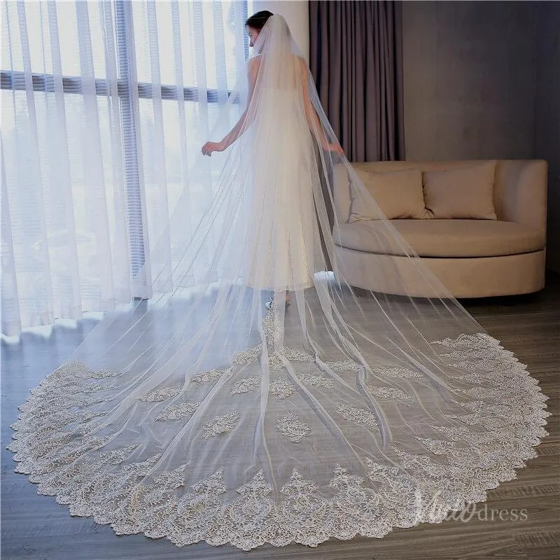 1 Tier Lace Cathedral Veil Viniodress TS17156